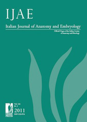 Heft, IJAE : Italian Journal of Anatomy and Embryology : 116, 2, 2011, Firenze University Press