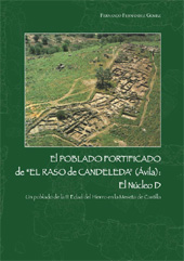 Chapter, Hallazgos de superficie, Real Academia de la Historia