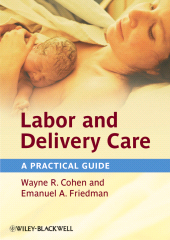 eBook, Labor and Delivery Care : A Practical Guide, Blackwell