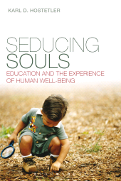 E-book, Seducing Souls : Education and the Experience of Human Well-Being, Continuum