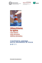 E-book, Attacchiamo la spina : libro bianco sulla sicurezza elettrica domestica : VII Rapporto Annuale sulla sicurezza in Italia 2011, Franco Angeli