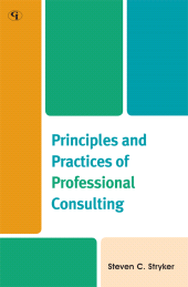 eBook, Principles and Practices of Professional Consulting, Government Institutes