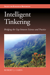 E-book, Intelligent Tinkering : Bridging the Gap between Science and Practice, Princeton University Press