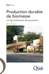 eBook, Production durable de biomasse : La lignocellulose des poacées, Pouzet, Denis, Éditions Quae