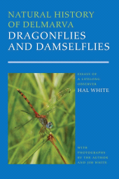 E-book, Natural History of Delmarva Dragonflies and Damselflies, University of Delaware Press