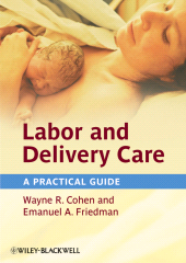 eBook, Labor and Delivery Care : A Practical Guide, Wiley