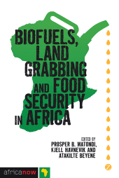 eBook, Biofuels, Land Grabbing and Food Security in Africa, Zed Books