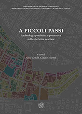 Chapter, La Carta di rischio archeologico urbano di Cesena : dieci anni dopo, All'insegna del giglio