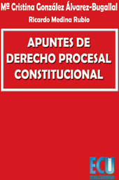 E-book, Apuntes de derecho procesal constitucional, González Álvarez-Bugallal, María Cristina, Editorial Club Universitario
