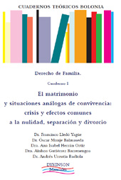 E-book, El matrimonio y situaciones análogas de convivencia : crisis y efectos comunes a la nulidad, separación y divorcio, Dykinson