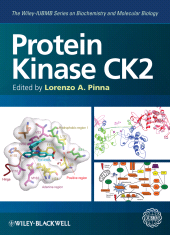 E-book, Protein Kinase CK2, Blackwell