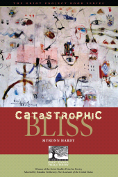 E-book, Catastrophic Bliss, Bucknell University Press