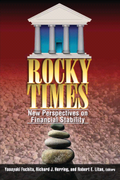 eBook, Rocky Times : New Perspectives on Financial Stability, Brookings Institution Press