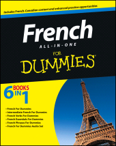 eBook, French All-in-One For Dummies, For Dummies