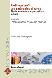 E-book, Profit/non profit : una partnership di valore : storia, evoluzione e prospettive in Italia, Franco Angeli