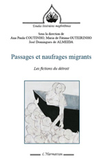 E-book, Passages et naufrages migrants : les fictions du détroit, L'Harmattan