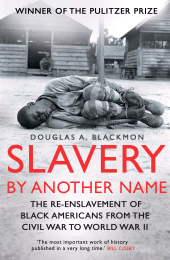 eBook, Slavery by Another Name : The re-enslavement of black americans from the civil war to World War Two, Icon Books