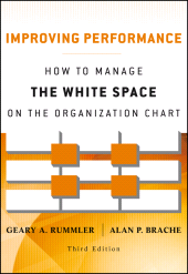 eBook, Improving Performance : How to Manage the White Space on the Organization Chart, Jossey-Bass