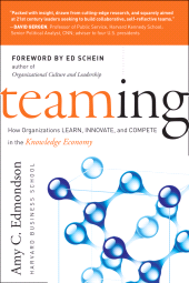 E-book, Teaming : How Organizations Learn, Innovate, and Compete in the Knowledge Economy, Jossey-Bass