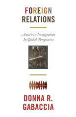 E-book, Foreign Relations : American Immigration in Global Perspective, Princeton University Press