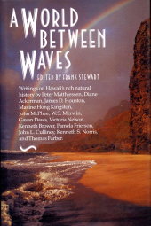 E-book, A World Between Waves, Princeton University Press