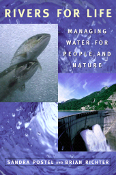 E-book, Rivers for Life : Managing Water For People And Nature, Princeton University Press