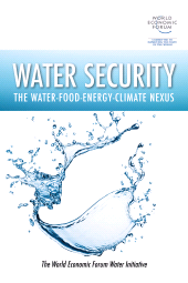 eBook, Water Security : The Water-Food-Energy-Climate Nexus, Princeton University Press