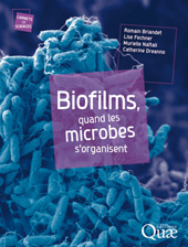 E-book, Biofilms, quand les microbes s'organisent, Éditions Quae