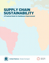 eBook, Supply Chain Sustainability : A Practical Guide for Continuous Improvement, United Nations Publications
