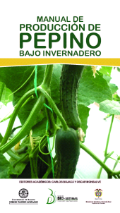 E-book, Manual de producción de pepino bajo invernadero, Editorial Utadeo