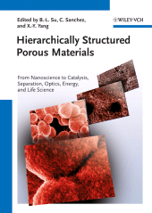 E-book, Hierarchically Structured Porous Materials : From Nanoscience to Catalysis, Separation, Optics, Energy, and Life Science, Wiley-VCH