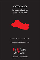 E-book, Poesía salvadoreña : antología esencial, Visor Libros