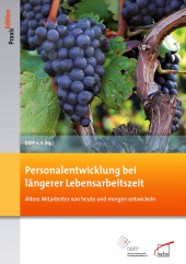 E-book, Personalentwicklung bei längerer Lebensarbeitszeit : Ältere Mitarbeiter von heute und morgen entwickeln, wbv Publikation