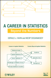 E-book, A Career in Statistics : Beyond the Numbers, Wiley