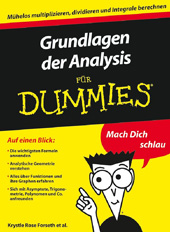 eBook, Grundlagen der Analysis für Dummies, Wiley