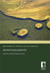 eBook, Spontaneamente : esercizi risolti di Chimica Fisica, Peruzzi, Niccolò, Firenze University Press