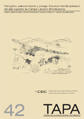 E-book, Petroglifos, paleoambiente y paisaje : estudios interdisciplinares del arte rupestre de Campo Lameiro, Pontevedra, CSIC
