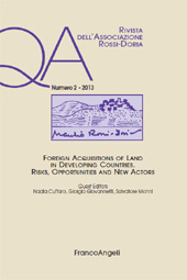 Artikel, Foreign Acquisitions of Land in Developing Countries : Risks, Opportunities and New Actors, Franco Angeli