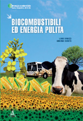 E-book, Biocombustibili ed energia pulita, Bruzzi, Luigi, CLUEB