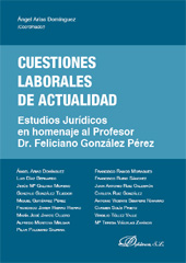 E-book, Cuestiones laborales de actualidad : estudios jurídicos en homenaje al Profesor Dr. Feliciano González Pérez, Dykinson