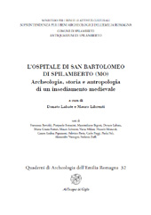 Chapter, Lo scavo archeologico dell'Ospitale di San Bartolomeo : la sequenza stratigrafica e le strutture insediative, All'insegna del giglio