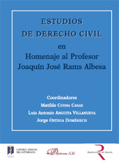 E-book, Estudios de derecho civil en homenaje al profesor Joaquín José Rams Albesa, Dykinson