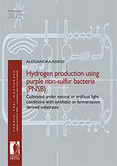 eBook, Hydrogen Production Using Purple Non-Sulfur Bacteria (PNSB) Cultivated Under Natural or Artificial Light Conditions With Synthetic or Fermentation Derived Substrates, Adessi, Alessandra, Firenze University Press