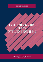 E-book, La recapitalización de las entidades financieras, Dykinson