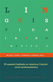 E-book, El español hablado en América Central : nivel morfosintáctico, Iberoamericana
