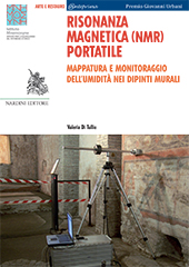 E-book, Risonanza magnetica, NMR, portatile : mappatura e monitoraggio dll'umidità nei dipinti murali, Nardini