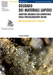 E-book, Degrado dei materiali lapidei : inibitori organici eco-compatibili della cristallizzazione salina : nanotecnologie per il restauro, Nardini