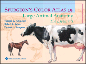 E-book, Spurgeon's Color Atlas of Large Animal Anatomy : The Essentials, Blackwell