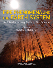 eBook, Fire Phenomena and the Earth System : An Interdisciplinary Guide to Fire Science, Blackwell