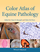 E-book, Color Atlas of Equine Pathology, Blackwell